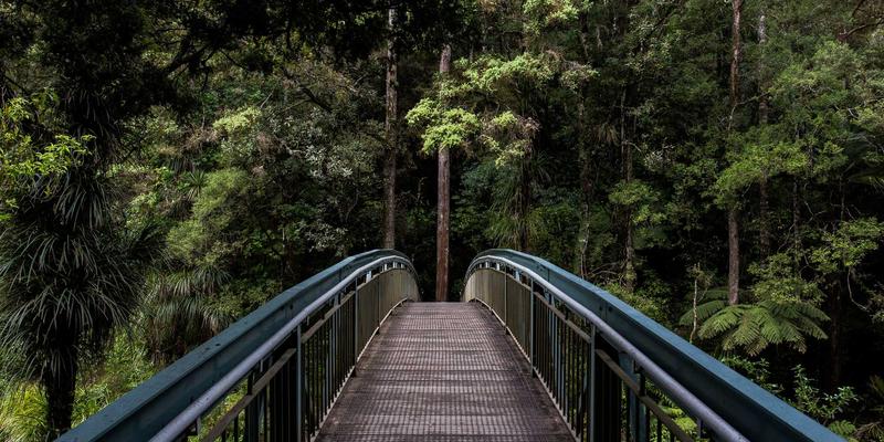 A股分析进阶：福州福隆评股师教你从现金流量表透视企业真实盈利质量与风险