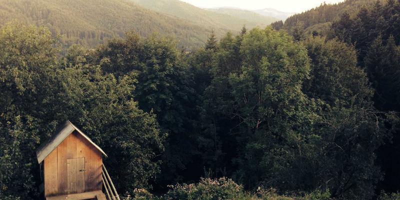 福州福隆评股师71：深耕金融分析，解码市场脉络的专业财经评论者