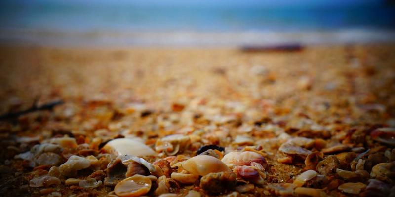 福州福隆评股师9:深度解析市场动态与稳健投资策略