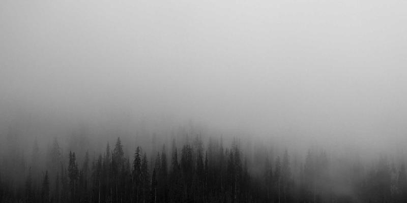福州福隆评股师：A股龙虎榜游资席位行为模式与短线情绪周期映射