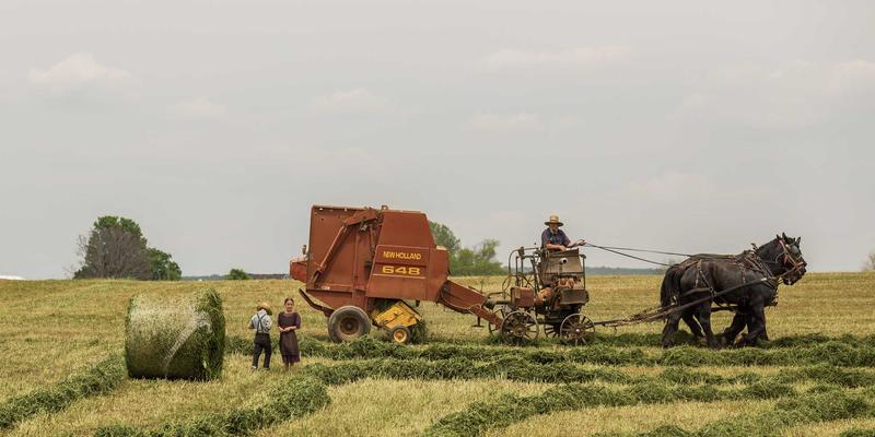 福州福隆评股师：专业投资策略与深度股市点评，助您穿越市场周期