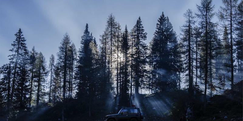 福州福隆评股师实战解析：如何运用情绪指标与资金流向精准识别A股市场顶底