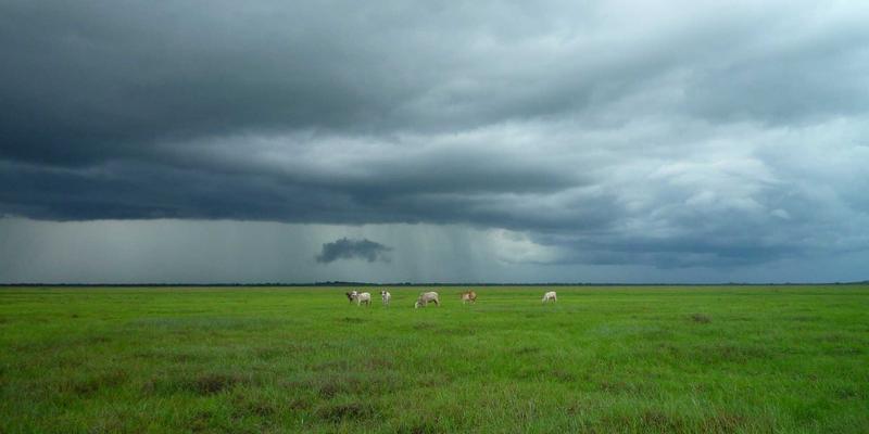 福州福隆评股师手把手教学：运用杜邦分析法拆解A股上市公司净资产收益率（ROE）的实战技巧与投资策略