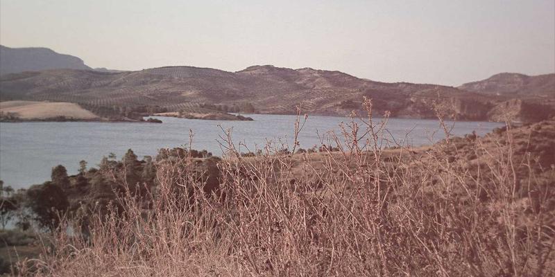 福州福隆评股师揭秘：短线操作核心技巧与A股风险控制实战策略