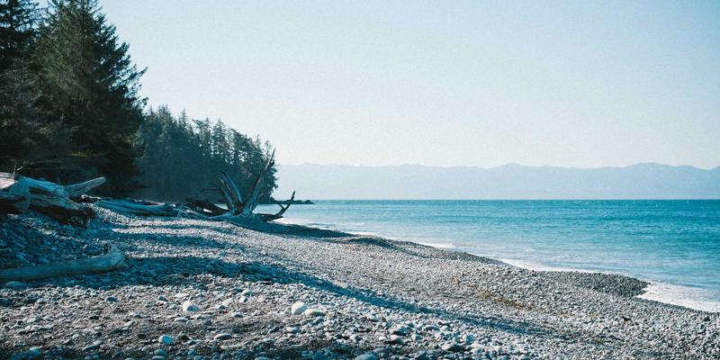 福州福隆评股师教程：掌握财经评论与投资策略的核心要义