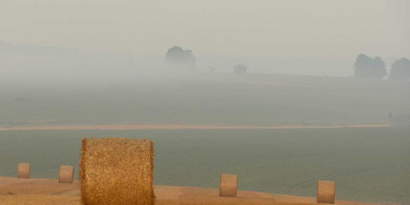 福州福隆评股师深度拆解：上市公司财报三大隐形“雷区”与专业排雷指南