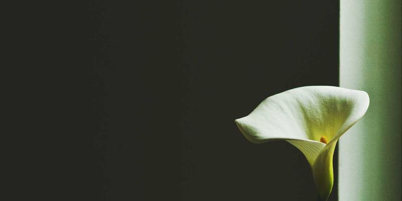 福州福隆评股师深度解析：ESG投资策略如何在A股市场筛选可持续成长公司