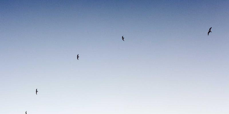 福州福隆评股师深度解析：如何构建高胜率的A股技术分析与基本面共振交易体系