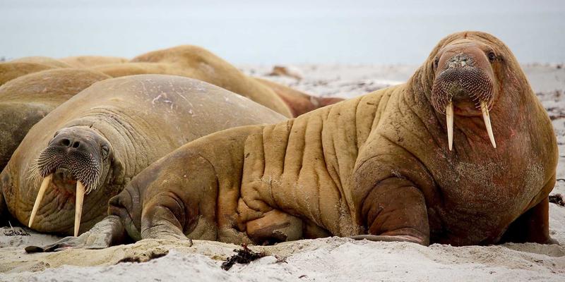 福州福隆评股师深度解析：美联储货币政策周期如何影响A股流动性及核心资产价格传导路径