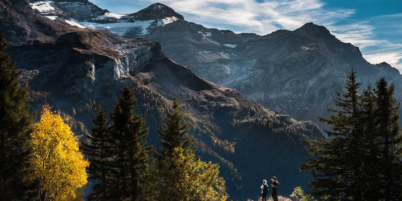 福州福隆评股师深度解读：国家级产业规划背后的投资策略与机会挖掘