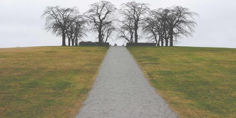福州福隆评股师深度解读：高股息策略如何成为A股震荡市的压舱石与精选标的指南