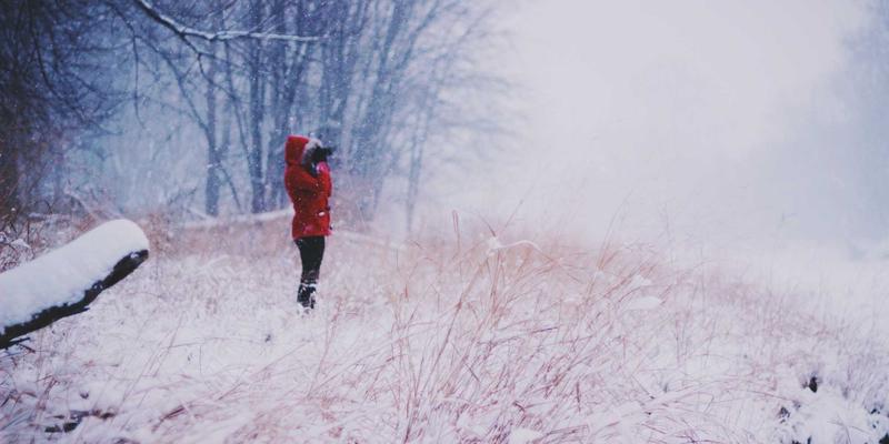 解密福州福隆评股师的投资决策流程：从信息收集到执行的完整策略